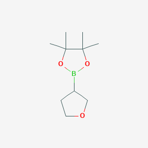 4,4,5,5-四甲基-2-(四氢呋喃-3-基)-1,3,2-二氧杂环戊硼烷图片