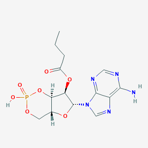 O2'-Monobutyryl Cyclic AMP图片