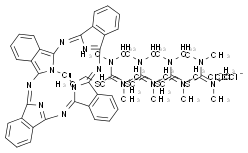 阿尔新蓝8GX图片