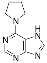 6-(pyrrolidin-1-yl)-9H-purine图片