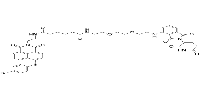 PROTAC Bcl2 degrader-1图片