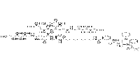 CCK2R Ligand-Linker Conjugates 1图片