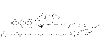 Mal-PEG4-VC-PAB-DMEA-PNU-159682图片