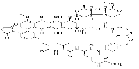Mal-Phe-C4-VC-PAB-DMEA-PNU-159682图片