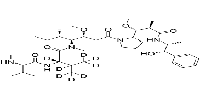 D8-MMAE图片