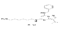 BS-181 hydrochloride图片