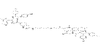 PROTAC MDM2 Degrader-2图片