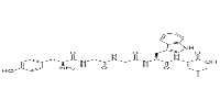 Gluten Exorphin B5图片
