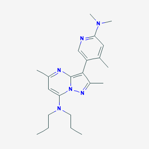 R121919图片