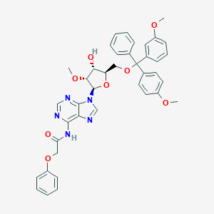 5'-O-DMT-2'-O-methyl-N6-phenoxyacetyladenosine图片
