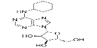 N6-Cyclohexyladenosine图片