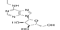 N-ethyl-adenosine图片