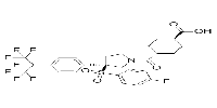 RORγt Inverse agonist 2图片