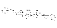 ADU-S100 ammonium salt图片