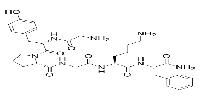 Protease-Activated Receptor-4图片