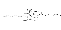 Digeranyl bisphosphonate图片