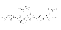 TFLLR-NH2(TFA)图片