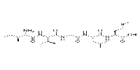 β-Amyloid 31-35图片