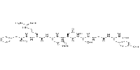 β-Amyloid 4-10图片