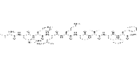 β-Amyloid 12-20图片