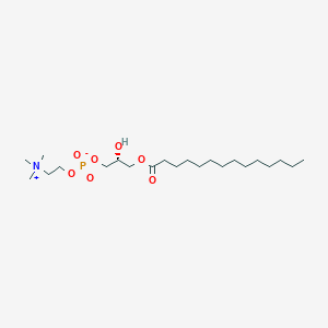 LysoPC(14:0/0:0)图片