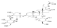 Astragaloside VI图片