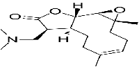 DMAPT图片