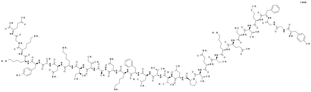 β-Endorphin,human图片