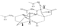 Guanfu base G图片