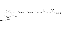 ATRA-hydroxyimino图片