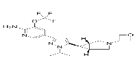 DLK-IN-1图片