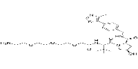 (S,R,S)-AHPC-PEG3-NH2图片