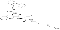 cIAP1 Ligand-Linker Conjugates 2图片