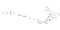 cIAP1 Ligand-Linker Conjugates 12图片