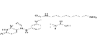 Thalidomide-O-amido-C8-NH2(TFA)图片