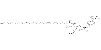 (S,R,S)-AHPC-(C3-PEG)2-C6-Cl图片