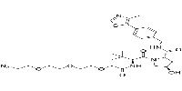 (S,R,S)-AHPC-PEG3-N3图片