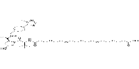 (S,R,S)-AHPC-PEG5-COOH图片