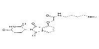 Thalidomide-O-amido-C4-NH2图片