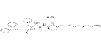cIAP1 Ligand-Linker Conjugates 15 hydrochloride图片