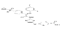 Glucokinase activator 1图片