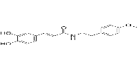 N-Caffeoyl O-methyltyramine图片