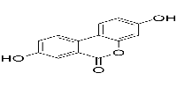 Urolithin A图片