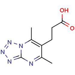 3-{5,7-dimethyl-[1,2,3,4]tetrazolo[1,5-a]pyrimidin-6-yl}propanoicacid图片