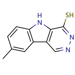 8-methyl-5H-pyridazino[4,5-b]indole-4-thiol图片
