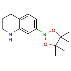 7-(4,4,5,5-tetramethyl-1,3,2-dioxaborolan-2-yl)-1,2,3,4-tetrahydroquinoline图片