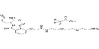 Thalidomide-O-amido-PEG2-C2-NH2(TFA)图片