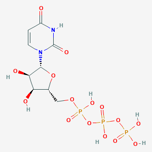 Uridine triphosphate图片