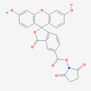 5-FAM,SE(5-羧基荧光素琥珀酰亚胺酯)图片