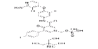 SCR-1481B1图片